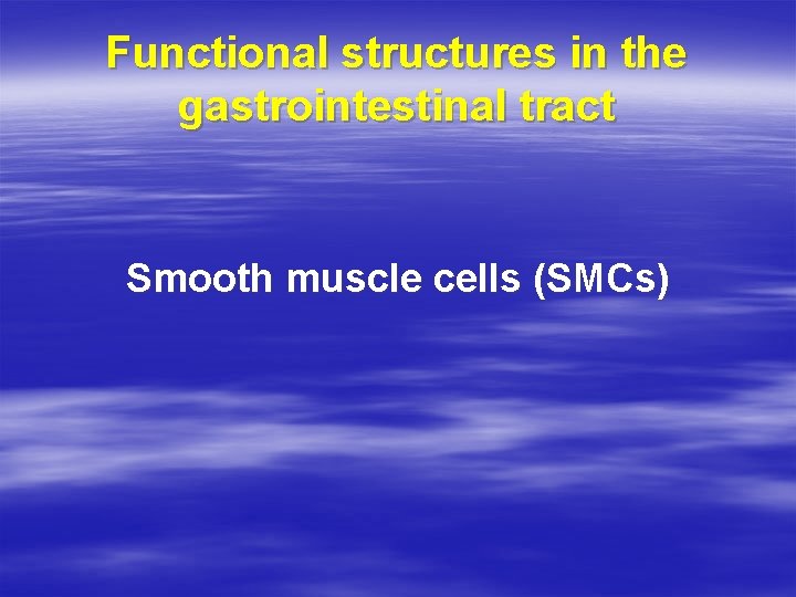 Functional structures in the gastrointestinal tract Smooth muscle cells (SMCs) 