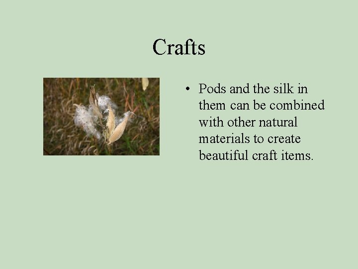 Crafts • Pods and the silk in them can be combined with other natural