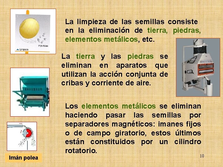 La limpieza de las semillas consiste en la eliminación de tierra, piedras, elementos metálicos,