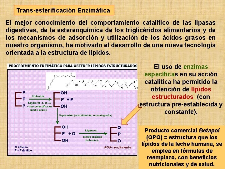 Trans-esterificación Enzimática El mejor conocimiento del comportamiento catalítico de las lipasas digestivas, de la