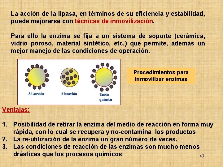La acción de la lipasa, en términos de su eficiencia y estabilidad, puede mejorarse