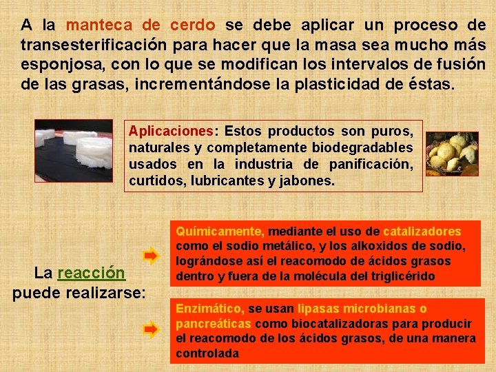 A la manteca de cerdo se debe aplicar un proceso de transesterificación para hacer