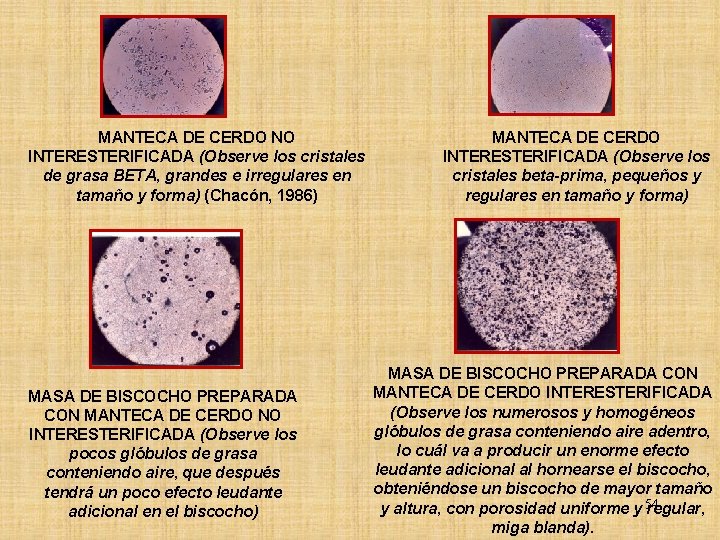 MANTECA DE CERDO NO INTERESTERIFICADA (Observe los cristales de grasa BETA, grandes e irregulares