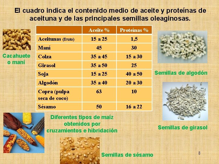 El cuadro indica el contenido medio de aceite y proteínas de aceituna y de