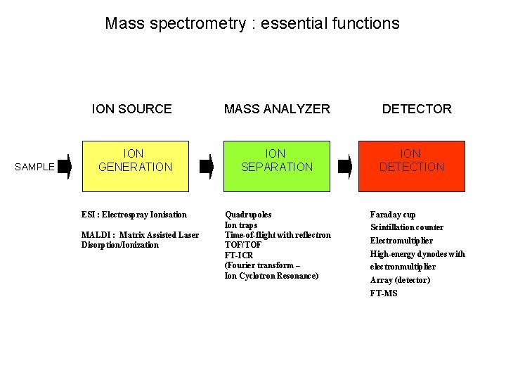 Mass spectrometry : essential functions SAMPLE ION SOURCE MASS ANALYZER ION GENERATION SEPARATION ESI