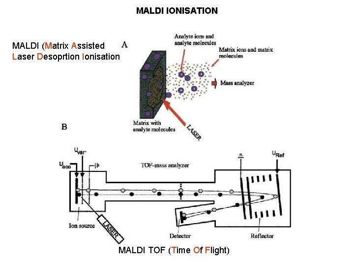 MALDI IONISATION MALDI (Matrix Assisted Laser Desoprtion Ionisation MALDI TOF (Time Of Flight) 