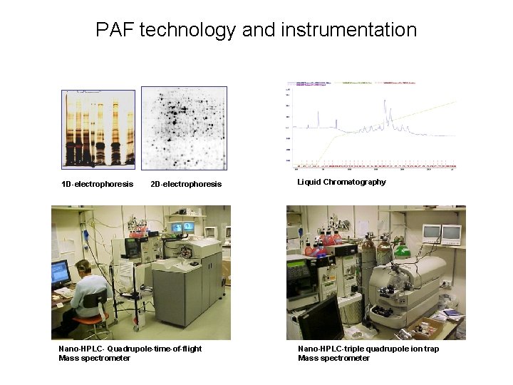 PAF technology and instrumentation 1 D-electrophoresis 2 D-electrophoresis Nano-HPLC- Quadrupole-time-of-flight Mass spectrometer Liquid Chromatography