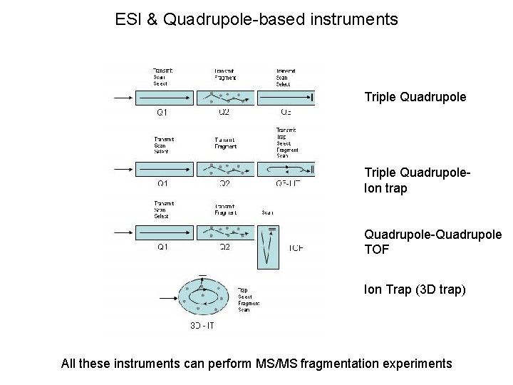 ESI & Quadrupole-based instruments Triple Quadrupole. Ion trap Quadrupole-Quadrupole TOF Ion Trap (3 D