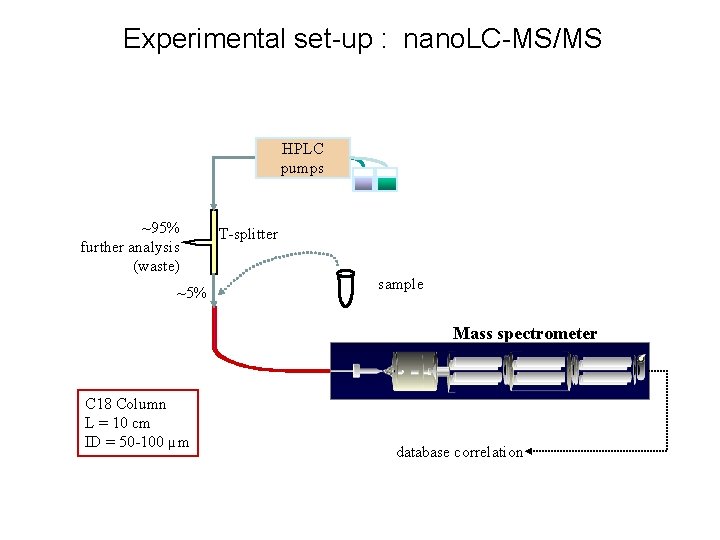 Experimental set-up : nano. LC-MS/MS HPLC pumps ~95% further analysis (waste) ~5% T-splitter sample