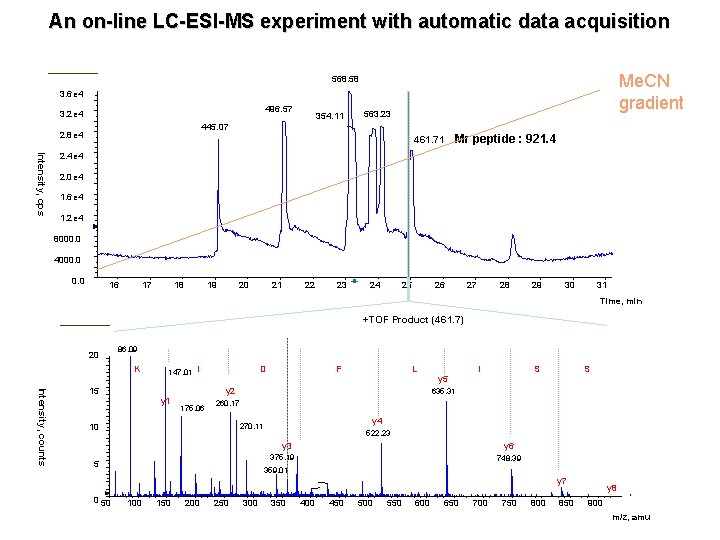 An on-line LC-ESI-MS experiment with automatic data acquisition Me. CN gradient 568. 58 3.