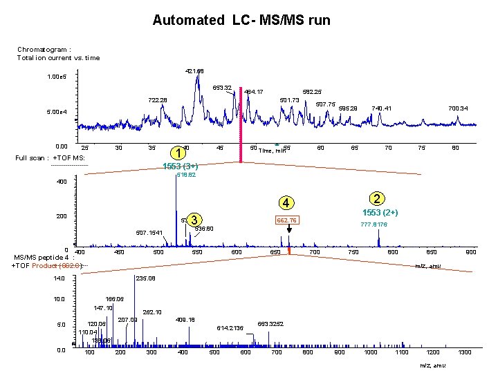 Automated LC- MS/MS run Chromatogram : Total ion current vs. time 421. 68 1.