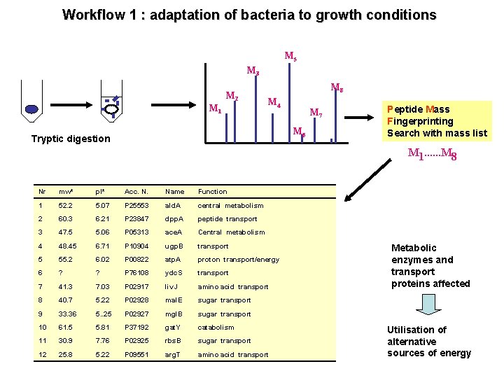Workflow 1 : adaptation of bacteria to growth conditions M 5 M 3 M