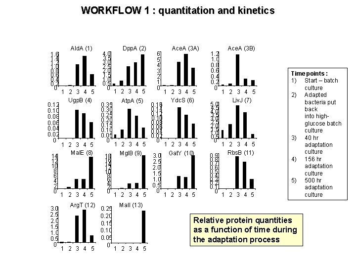 WORKFLOW 1 : quantitation and kinetics 1. 6 1. 4 1. 2 1. 0