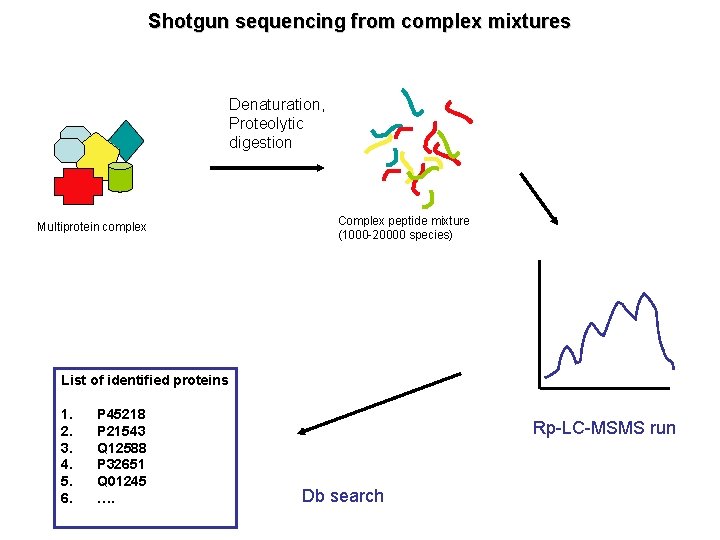 Shotgun sequencing from complex mixtures Denaturation, Proteolytic digestion Multiprotein complex Complex peptide mixture (1000