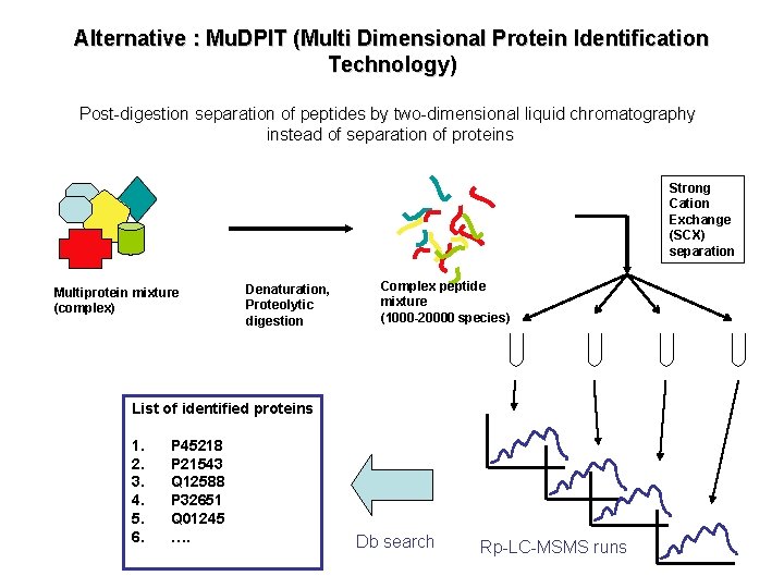 Alternative : Mu. DPIT (Multi Dimensional Protein Identification Technology) Post-digestion separation of peptides by