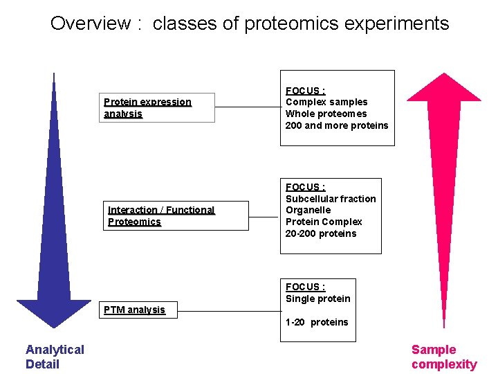 Overview : classes of proteomics experiments Protein expression analysis Interaction / Functional Proteomics FOCUS
