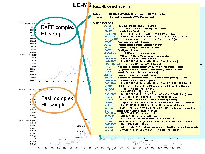 LC-MS/MS ANALYSIS Fas. L HL search results BAFF HL search results Database : MSDB