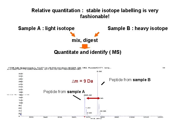 Relative quantitation : stable isotope labelling is very fashionable! Sample A : light isotope