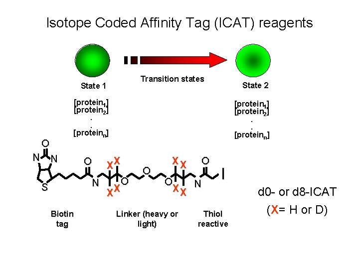 Isotope Coded Affinity Tag (ICAT) reagents Transition states State 1 [protein 1] [protein 2].