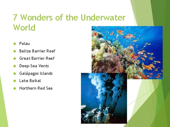 7 Wonders of the Underwater World Palau Belize Barrier Reef Great Barrier Reef Deep-Sea 7 Wonders of the Underwater World Palau Belize Barrier Reef Great Barrier Reef Deep-Sea