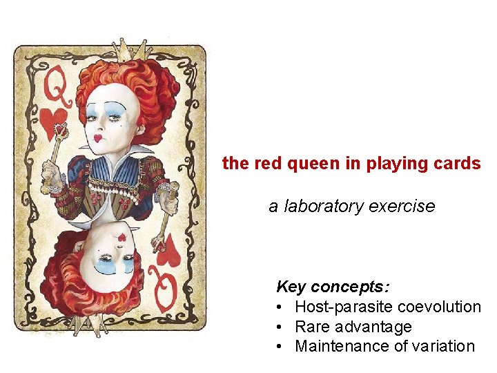 the red queen in playing cards a laboratory exercise Key concepts: • Host-parasite coevolution