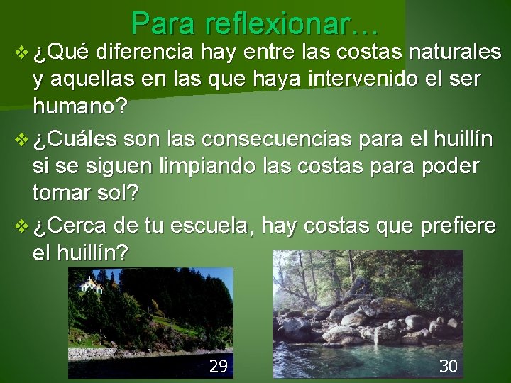 Para reflexionar… v ¿Qué diferencia hay entre las costas naturales y aquellas en las