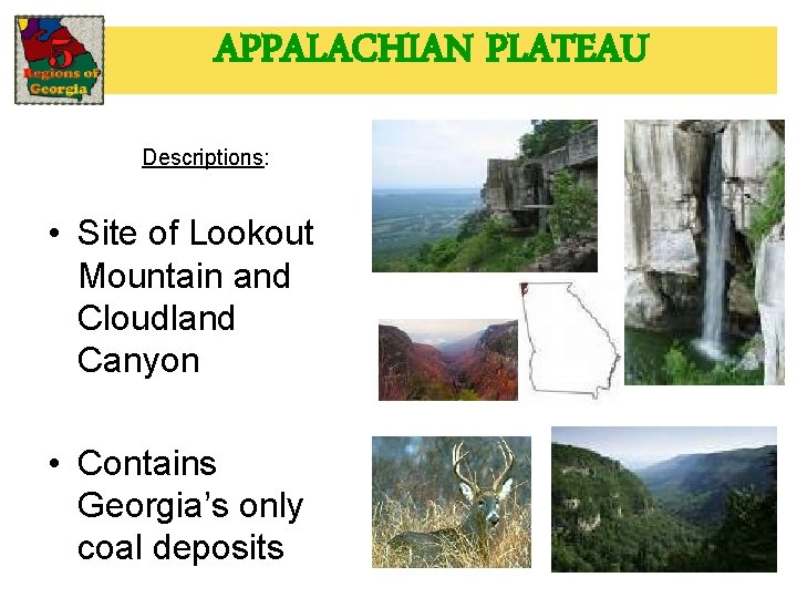 APPALACHIAN PLATEAU Descriptions: • Site of Lookout Mountain and Cloudland Canyon • Contains Georgia’s