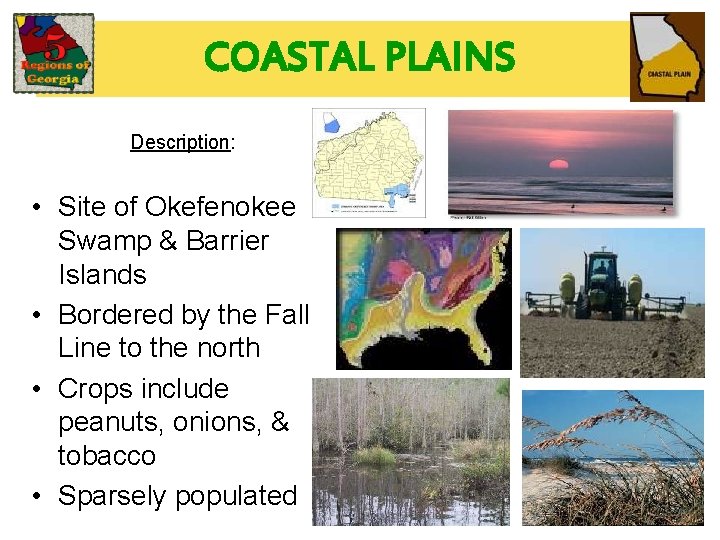COASTAL PLAINS Description: • Site of Okefenokee Swamp & Barrier Islands • Bordered by