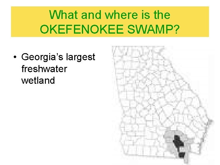 What and where is the OKEFENOKEE SWAMP? • Georgia’s largest freshwater wetland 