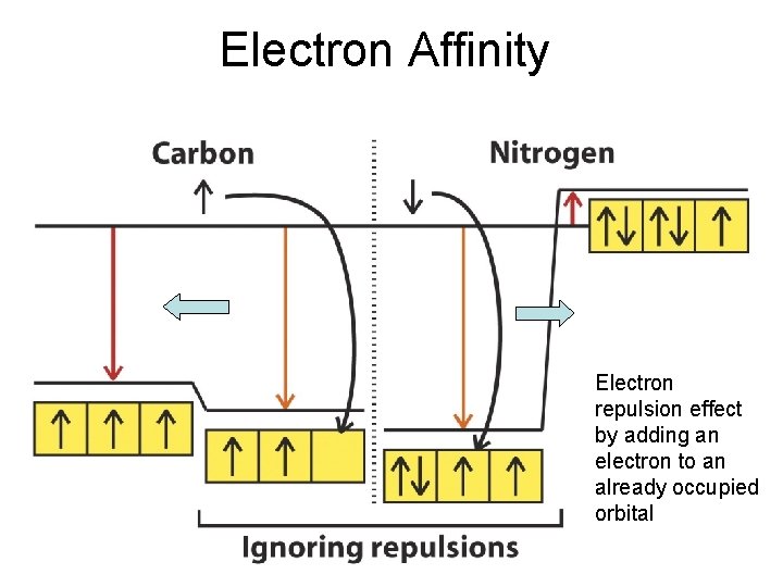 Electron Affinity Electron repulsion effect by adding an electron to an already occupied orbital