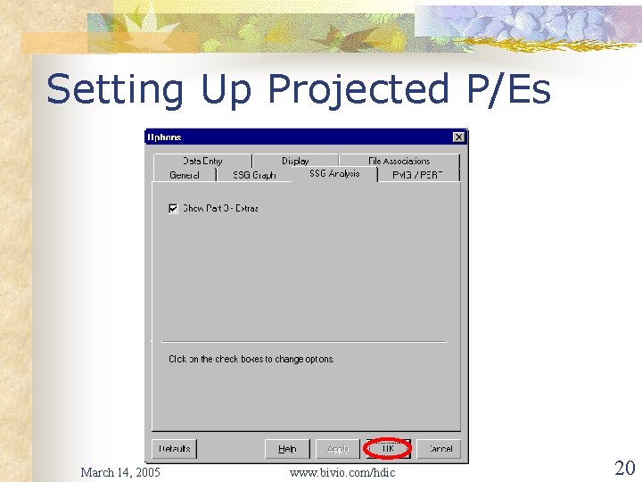 Setting Up Projected P/Es March 14, 2005 www. bivio. com/hdic 20 