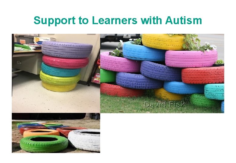 Support to Learners with Autism 