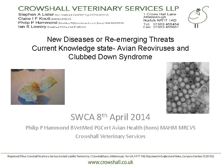 New Diseases or Re-emerging Threats Current Knowledge state- Avian Reoviruses and Clubbed Down Syndrome