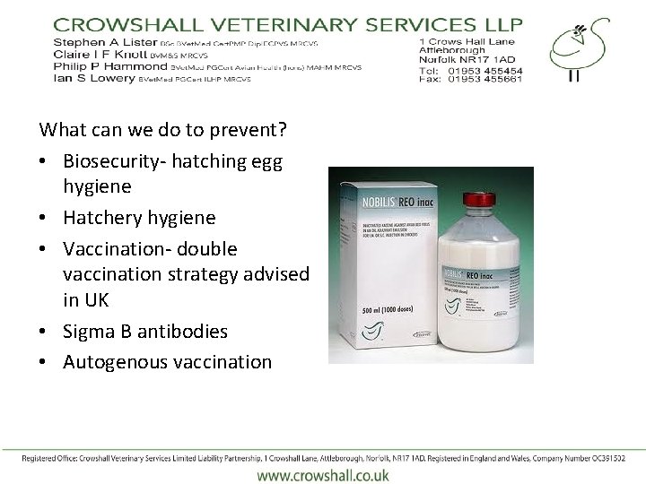 What can we do to prevent? • Biosecurity- hatching egg hygiene • Hatchery hygiene
