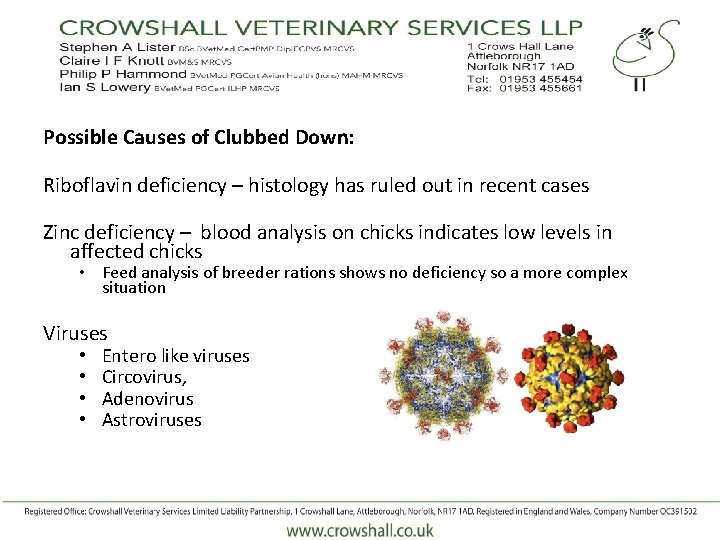 Possible Causes of Clubbed Down: Riboflavin deficiency – histology has ruled out in recent