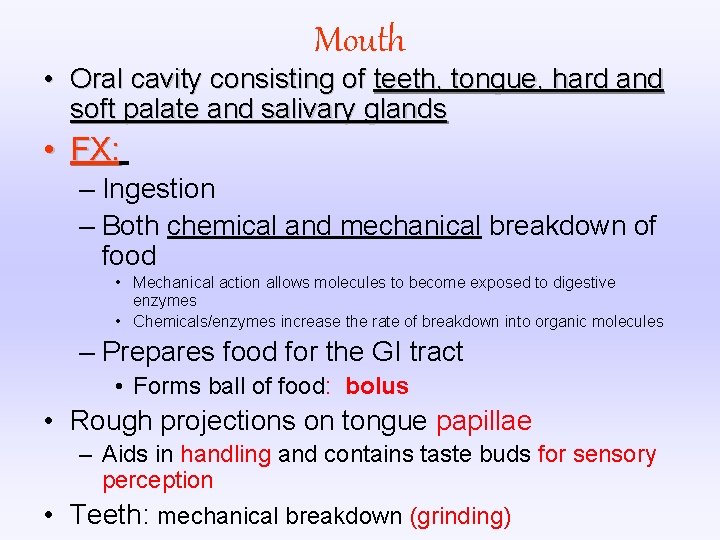 Mouth • Oral cavity consisting of teeth, tongue, hard and soft palate and salivary