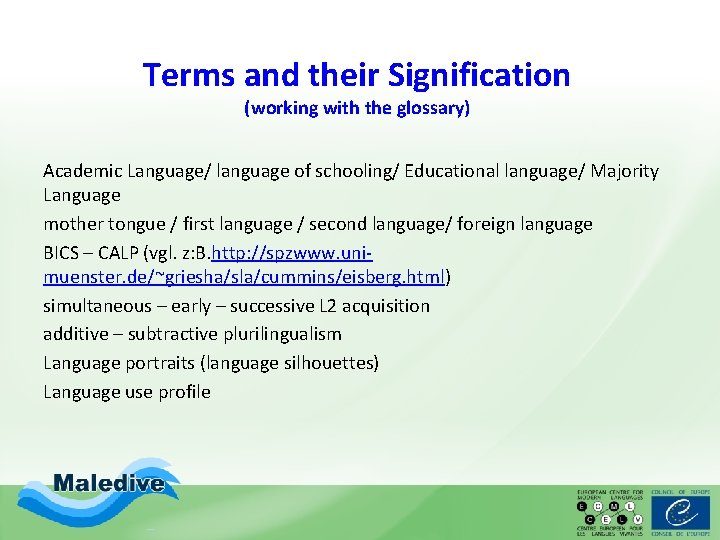 Terms and their Signification (working with the glossary) Academic Language/ language of schooling/ Educational Terms and their Signification (working with the glossary) Academic Language/ language of schooling/ Educational