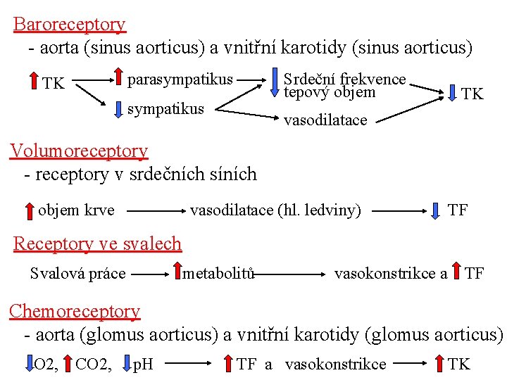 Baroreceptory - aorta (sinus aorticus) a vnitřní karotidy (sinus aorticus) parasympatikus TK Srdeční frekvence