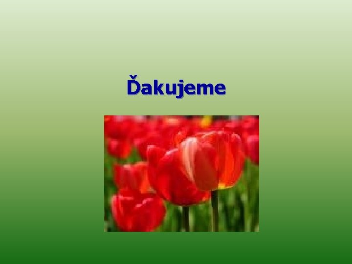 Ďakujeme 