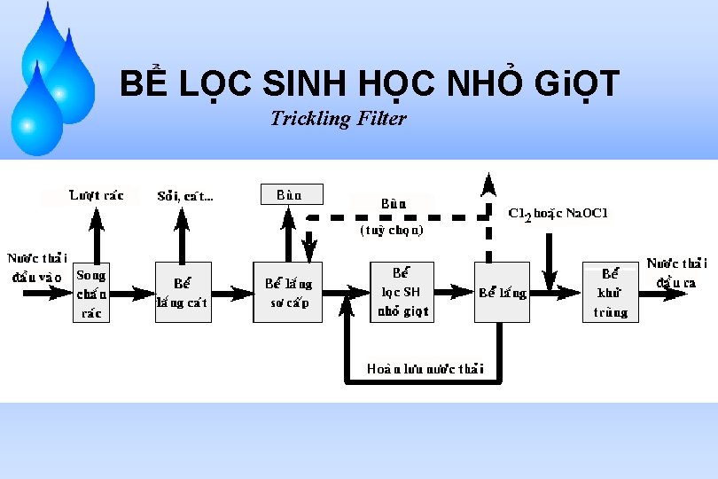 BỂ LỌC SINH HỌC NHỎ GiỌT Trickling Filter 