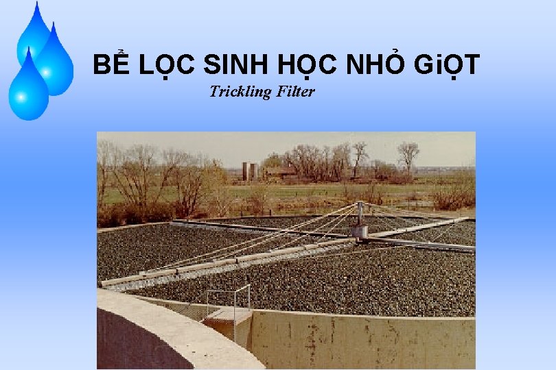 BỂ LỌC SINH HỌC NHỎ GiỌT Trickling Filter 