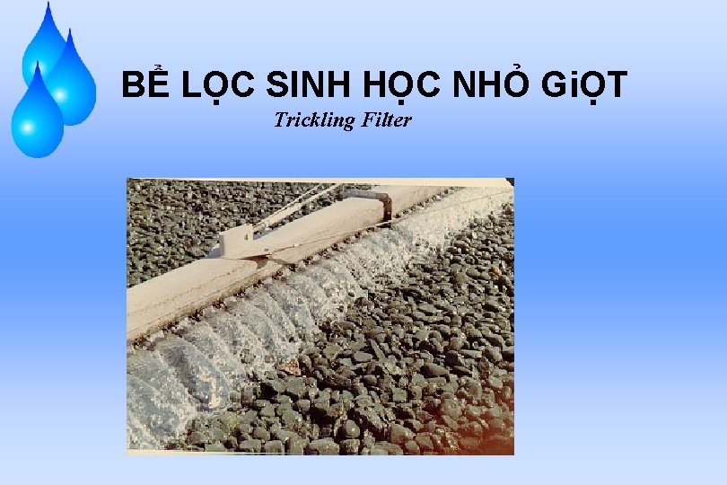 BỂ LỌC SINH HỌC NHỎ GiỌT Trickling Filter 