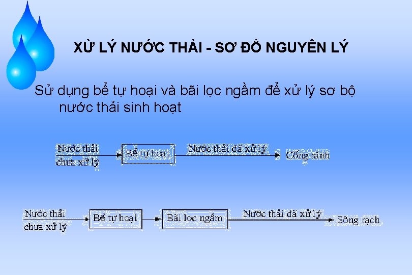 XỬ LÝ NƯỚC THẢI - SƠ ĐỒ NGUYÊN LÝ Sử dụng bể tự hoại