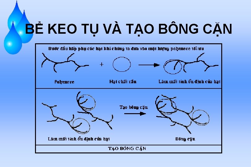 BỂ KEO TỤ VÀ TẠO BÔNG CẶN 