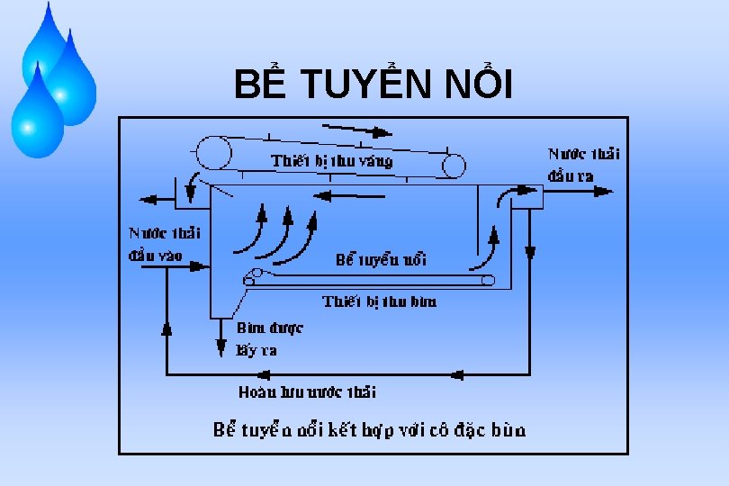 BỂ TUYỂN NỔI 