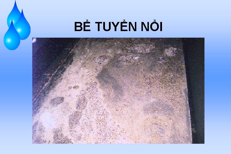 BỂ TUYỂN NỔI 