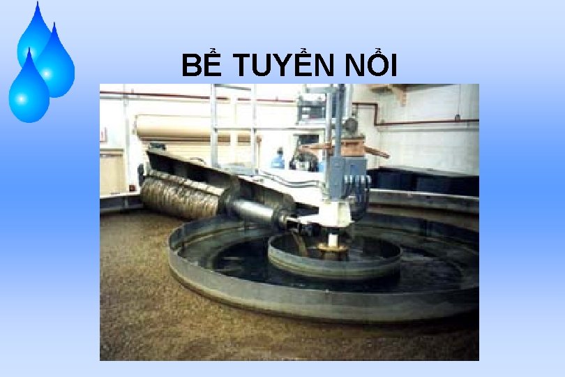 BỂ TUYỂN NỔI 