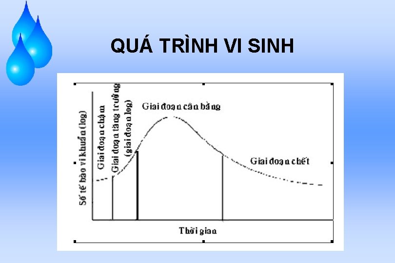 QUÁ TRÌNH VI SINH 