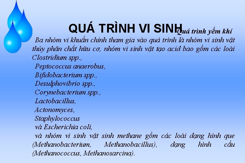 QUÁ TRÌNH VI SINHQuá trình yếm khí Ba nhóm vi khuẩn chính tham gia