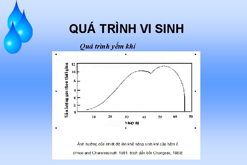 QUÁ TRÌNH VI SINH Quá trình yếm khí 